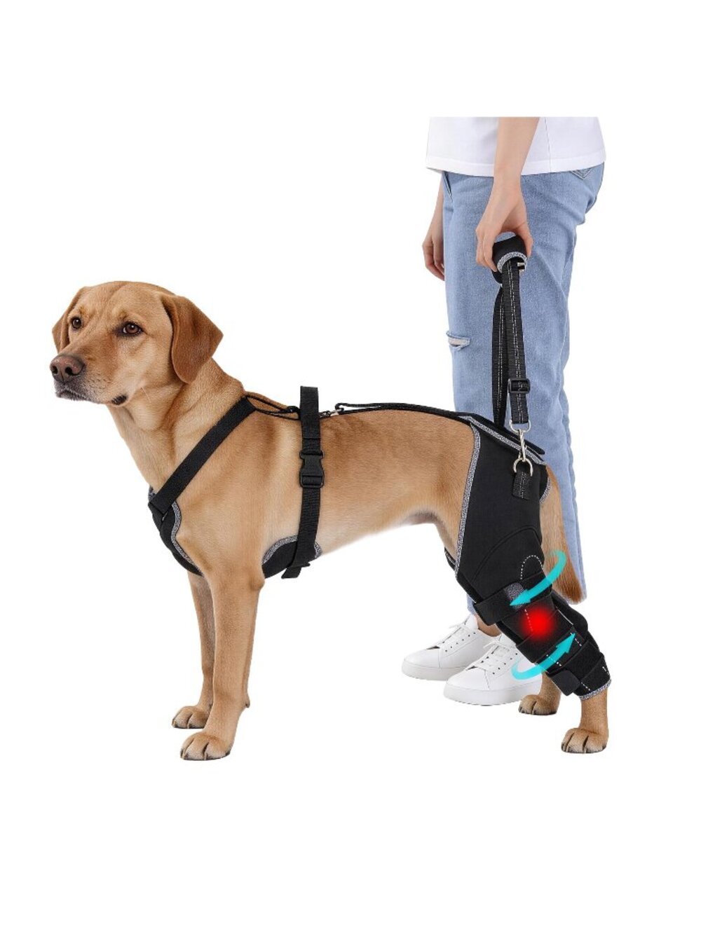 BALAPET "L" Dog Rear Leg Brace for ACL/CCL Injury, Hinged Hind Leg Support Harne